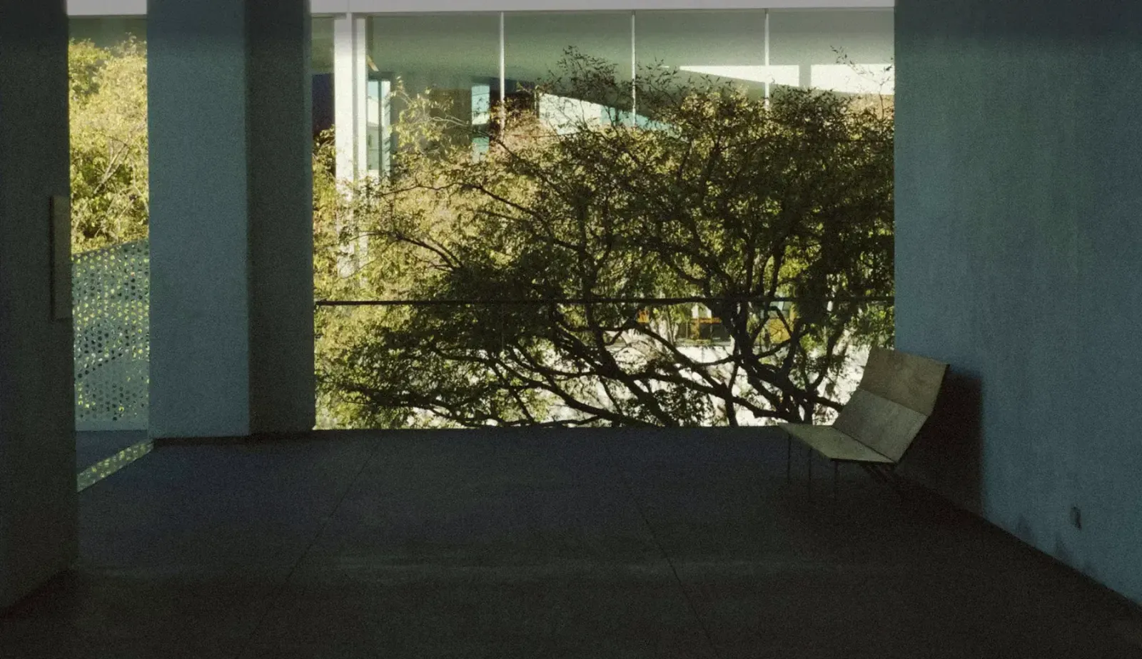 A shaded concrete terrace looking out through a tree towards a glass building